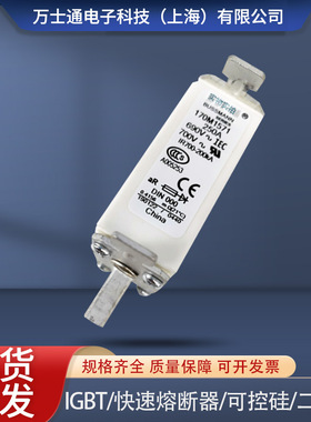 170M2614/2615/2616/2617/2618/2619/2620/2621全新熔断器现货