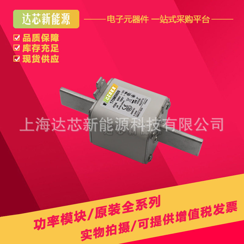 170M5811D 170M5812D 170M5813D全新巴斯曼熔断器,保险丝