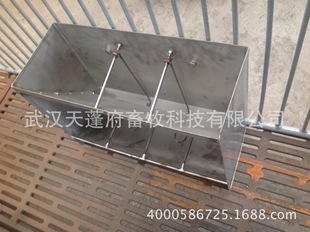 仔猪不锈钢补料槽 小猪不锈钢自动补料槽