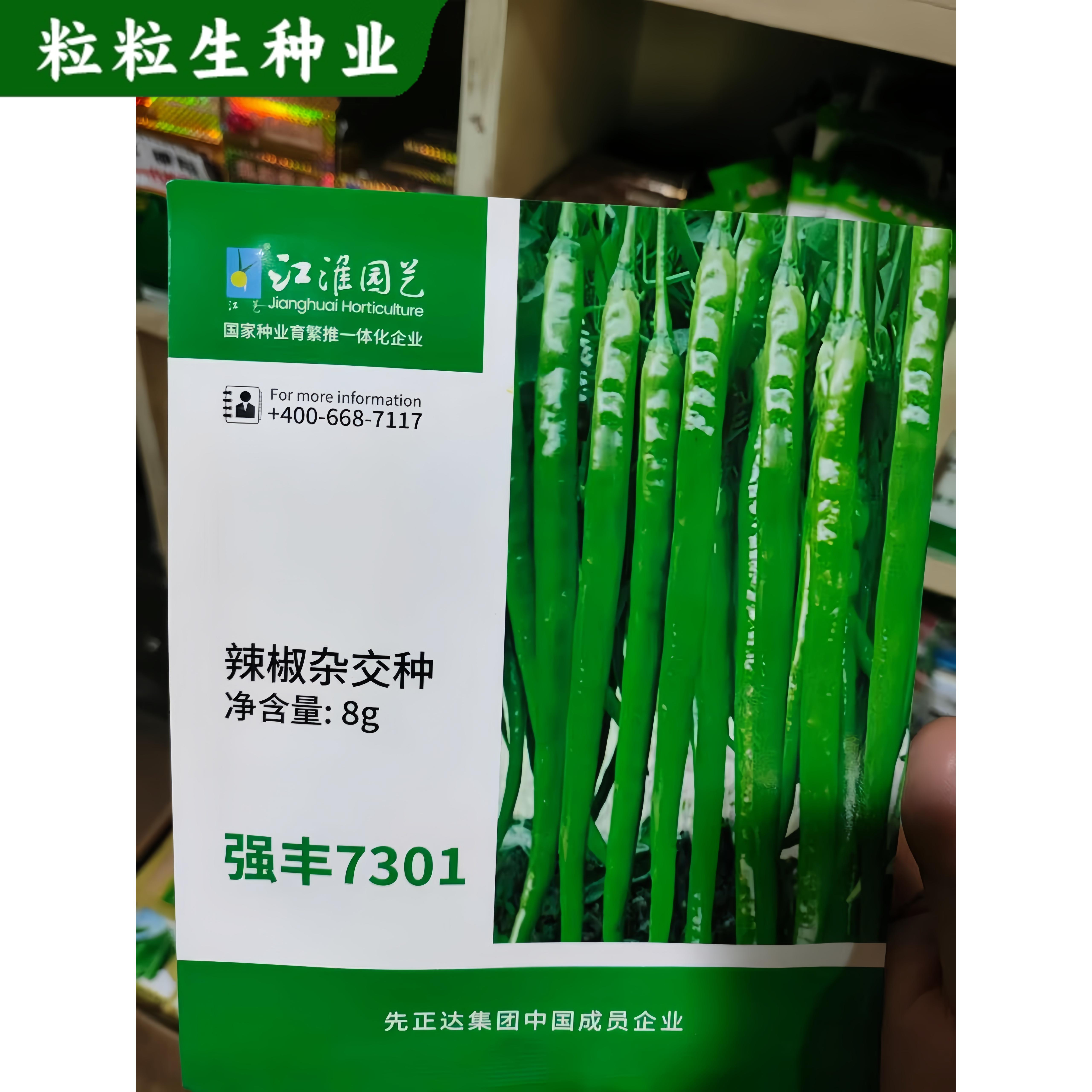 正品江淮早熟高产线椒种子长辣椒