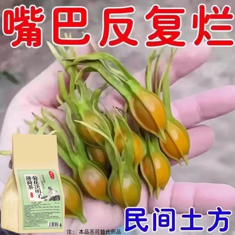 长期火气大口舌生疮牙龈肿痛上火起泡嘴唇溃烂经常上火决明子薄荷