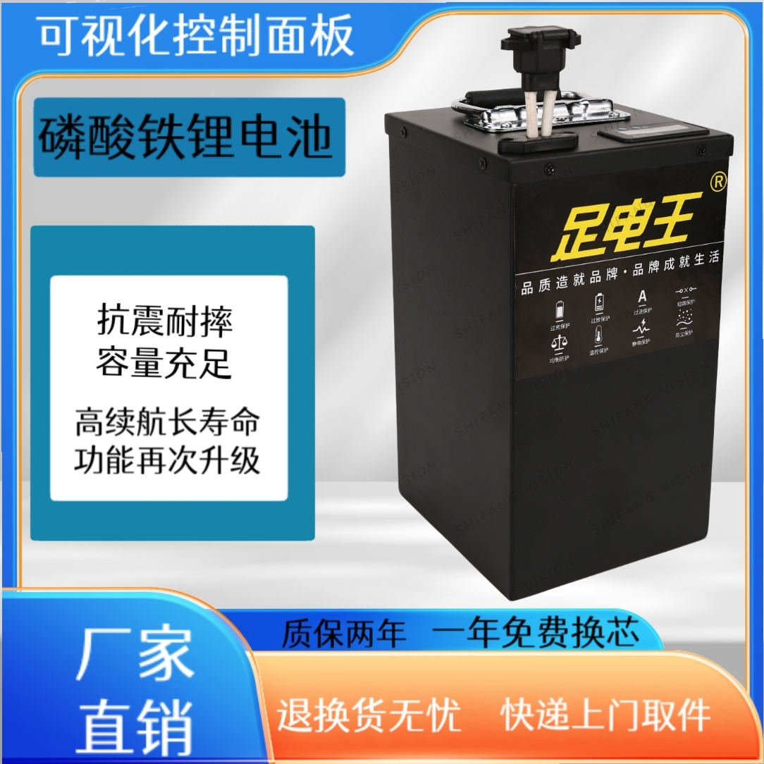 48V60V72二三四轮车磷酸铁锂电池