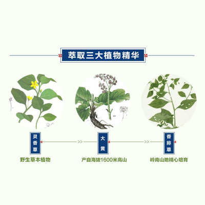 迦印堂 艾草香线香3年陈蕲 健康养生香 净化空气改善异味薰香