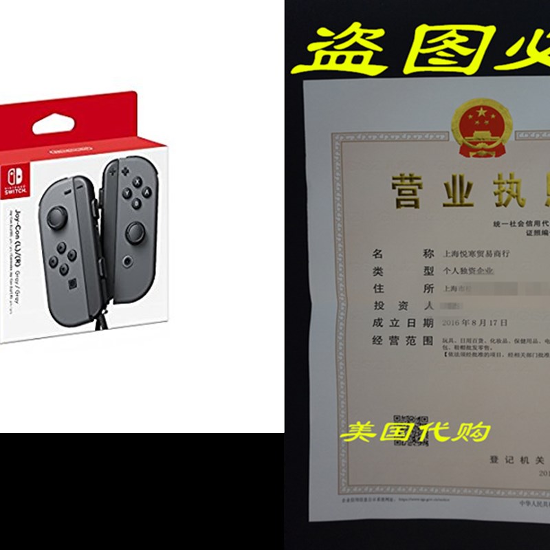Nintendo Joy-Con (L/R) - Gray - 封面