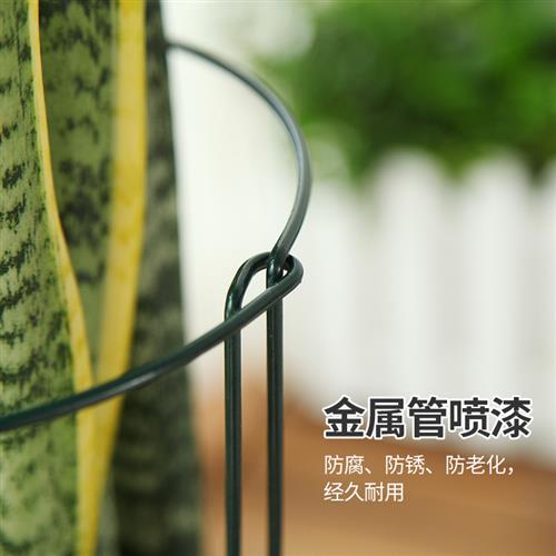 植物固定支架石斛绣球虎皮兰龟背芋支伸缩杆鹤望兰秋海棠防倒伏花