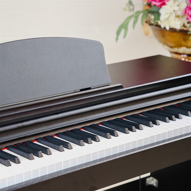 801电钢琴 88键重锤  多功能智能钢琴