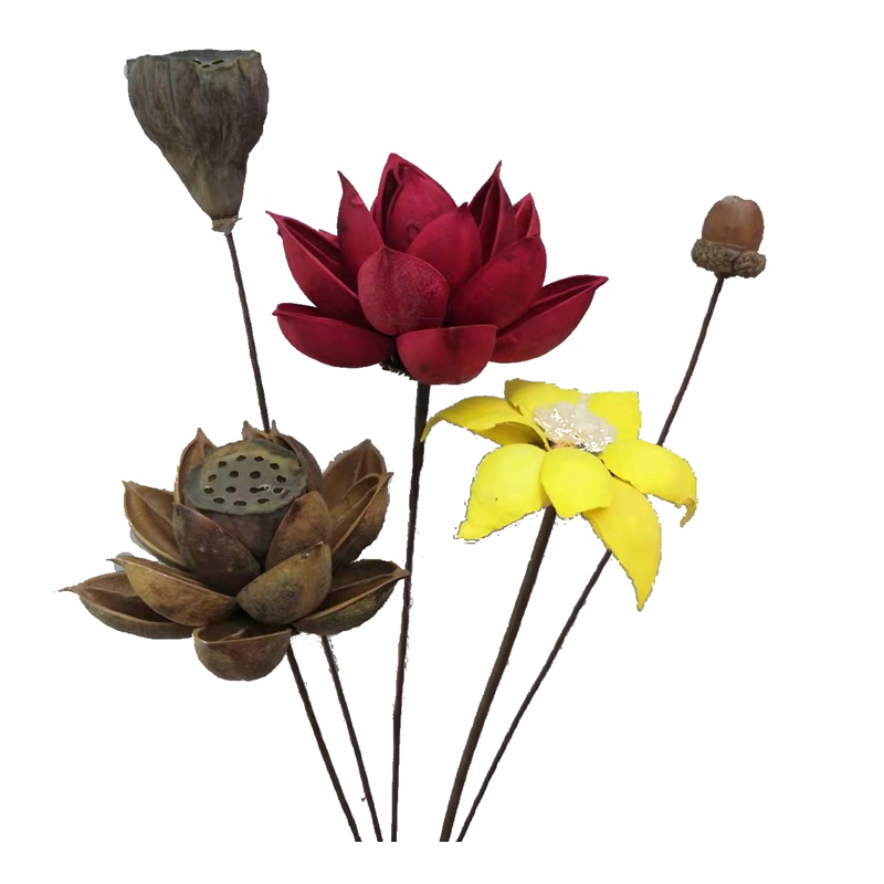 单枝干花花束真花装饰摆件荷花莲蓬禅意中式花瓶插花家居客原生态