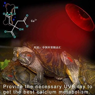 25/50/75/100W Pet Reptile Turtle Snake Fish Full Spectrum He