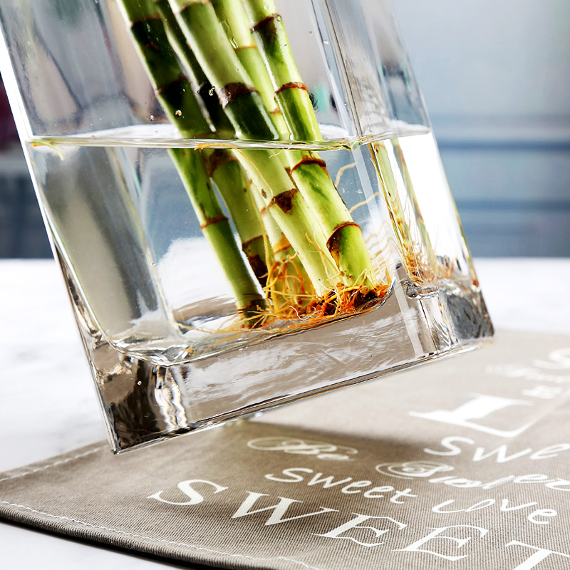 玻璃透明花瓶家用养水竹插花富贵竹绿竹转运珠方口方形四方花店瓶