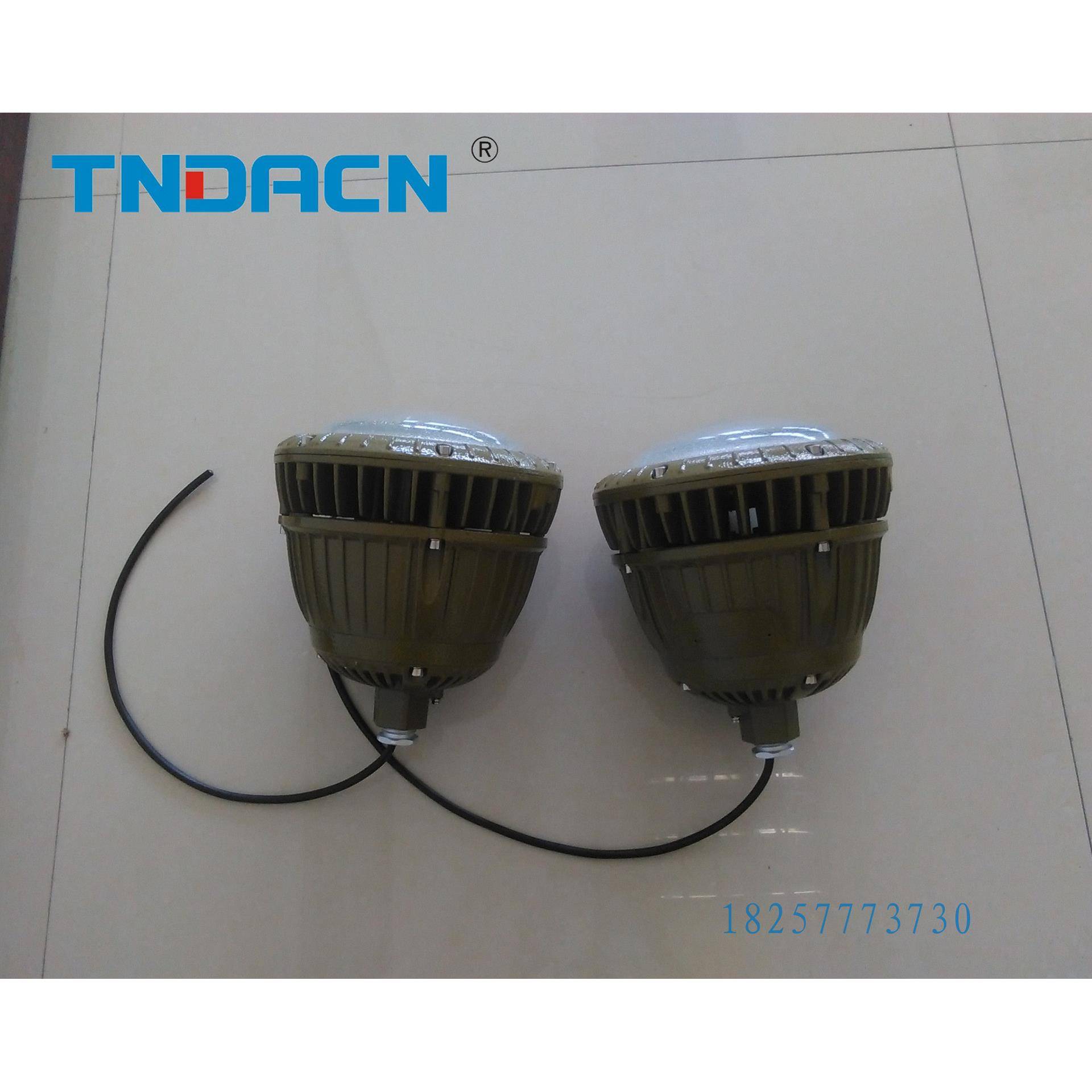 乐清防爆LED灯ccd96系列免维护防爆灯10w20W50w化工厂照明灯