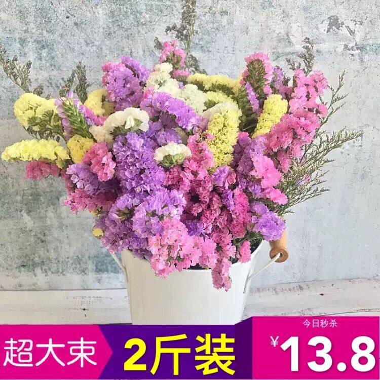 速发云南勿忘我干花花束干论斤卖大长束款满天星装家饰居摆设插花