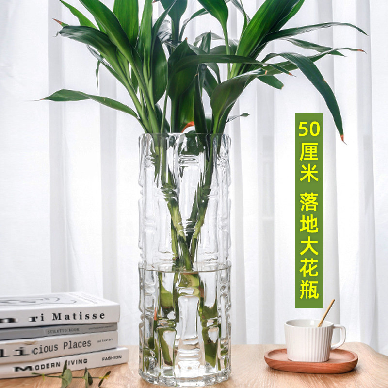 速发大号富摆竹花瓶贵件客厅插花玻透璃明水养水培竹子马醉木风
