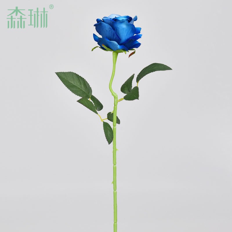 速发单支瑰蓝色玫花花干花蓝JK拍照道具束色妖姬