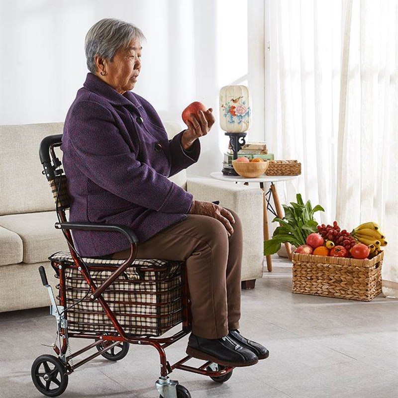 现货速发带轮子的椅子老人用手推车代步可坐助行车轻便四轮老年便