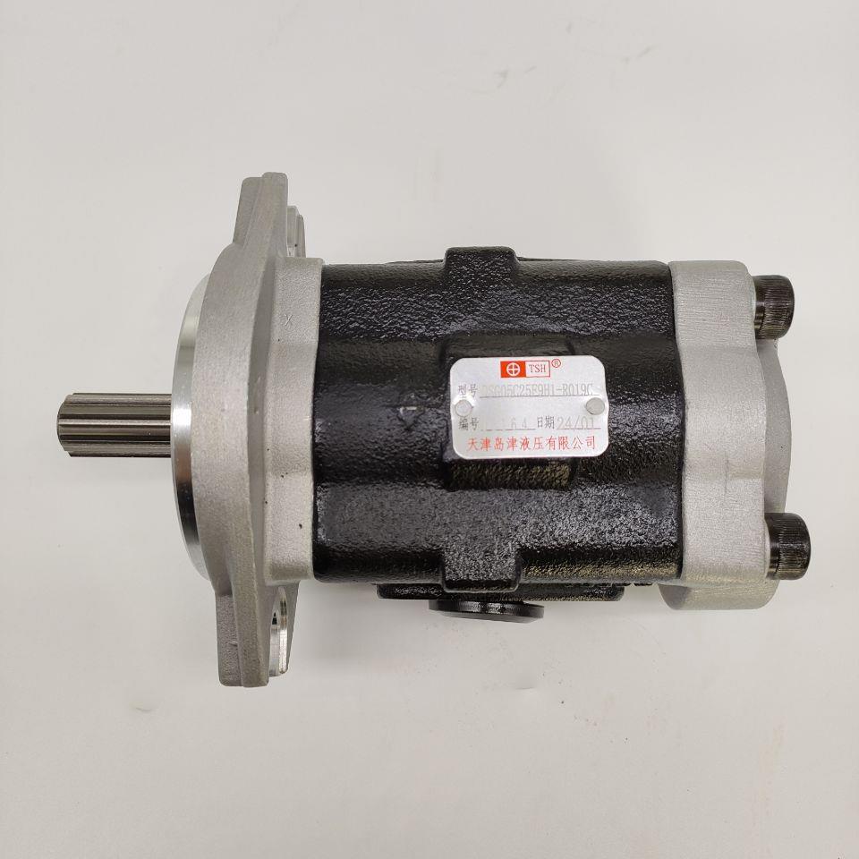 柳工3.5T电车液压齿轮油泵岛津DSG05C25F9H1-R019C