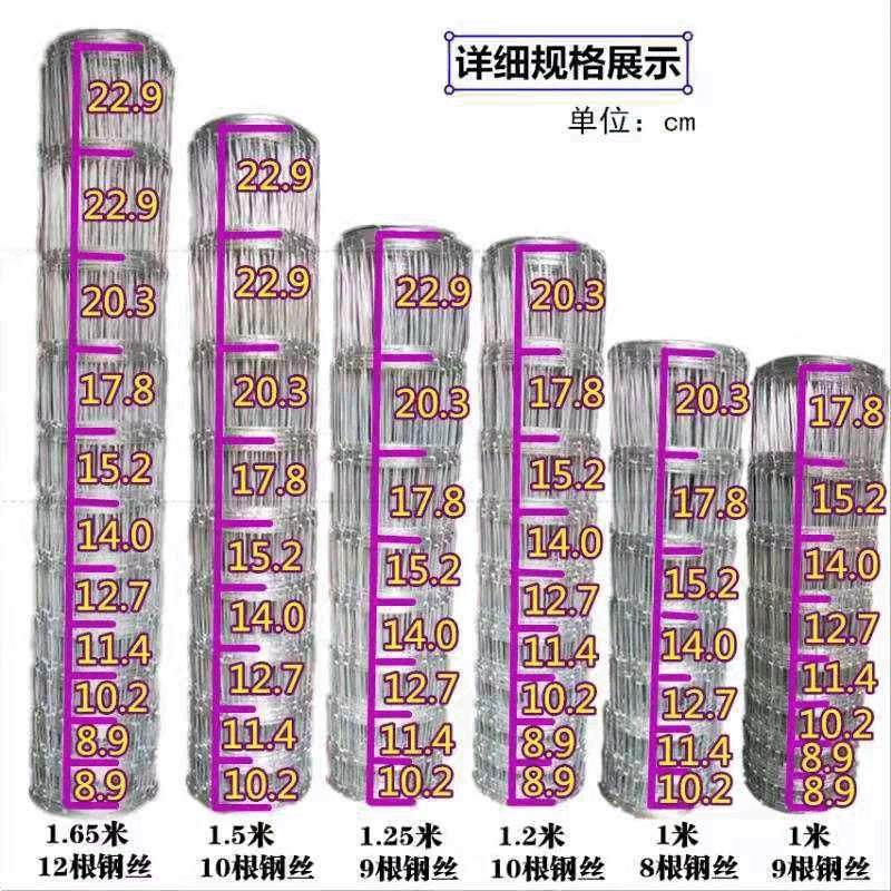 牛栏网果园圈地钢丝围栏网养殖牛羊鸡防护网镀锌铁丝网围栏护栏网