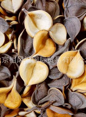 进装HYV口干干壳天然植具物果家居摆设饰插花拍照道礼品