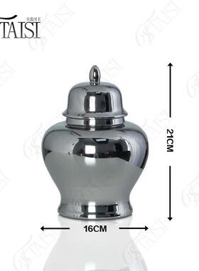 爆款北欧工艺品装陶饰玄关装饰军瓷花瓶花插将罐居家客厅TCA小摆
