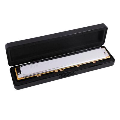 纪口琴念版成人初学吹奏类乐器音2孔4复音28孔重C调CSR口琴