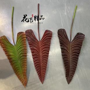 渐变轻大奢单号带龙骨热叶龟背叶葵叶植物长形NOE大片树叶绢花只