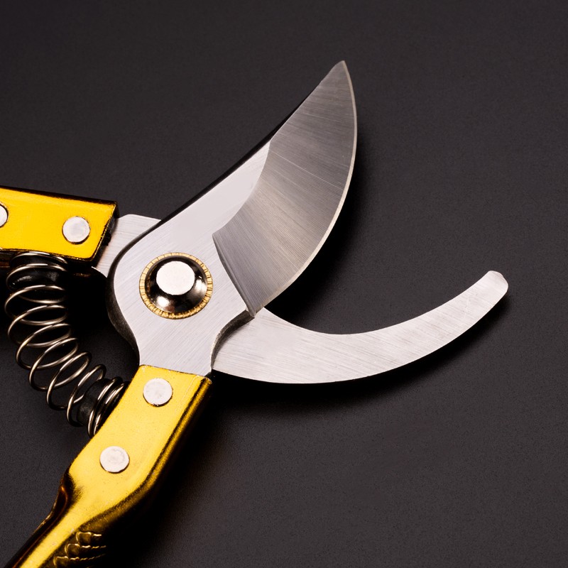 全钢剪树枝修枝剪摘水果花木剪刀园林果树花卉枝嫁接园艺剪刀工具