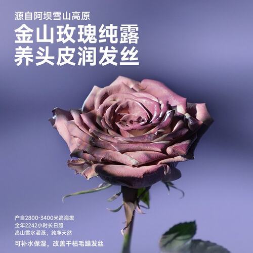 【新品玫瑰发膜】Befe玫瑰滋养发膜改善毛躁柔顺补水修护护发素zb
