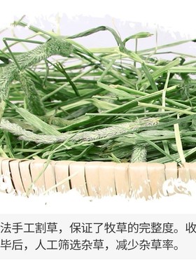 2021 timothy grass hay forage grass rabbit rabbit food