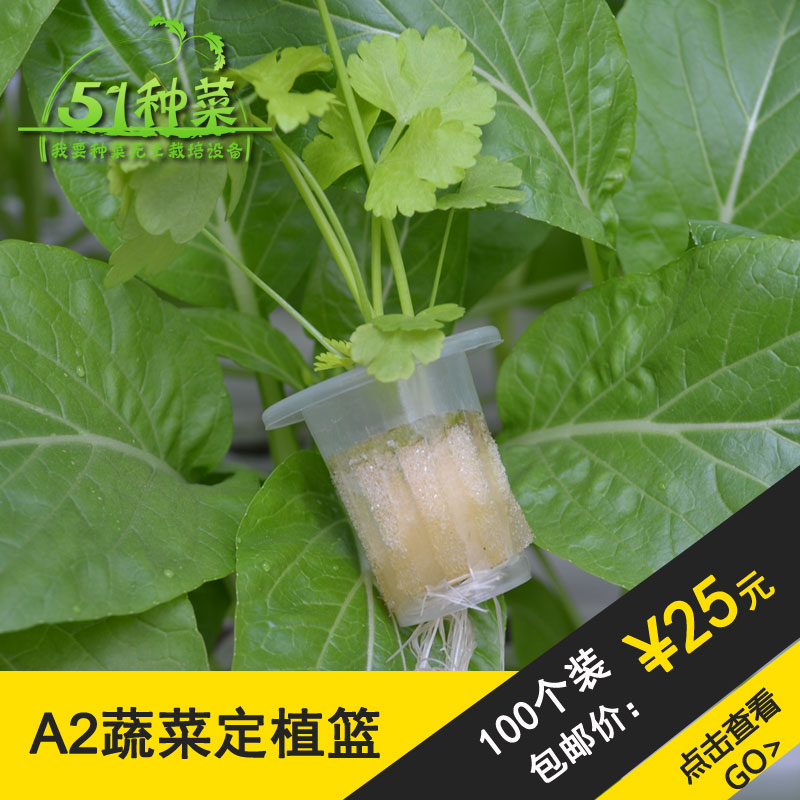 。蔬菜定植篮水培定植篮无土栽培定植杯水耕设施配套耗材全新PP料