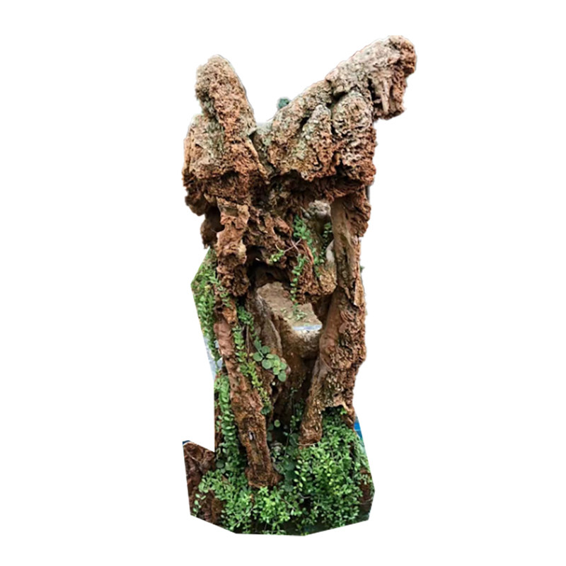 伏石蕨抱树蕨绿植雨林水陆缸假山缸攀爬造景常用常绿叶植物抱石莲