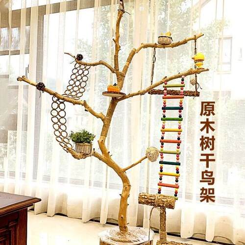 鸽子专用站架干树枝原木杈造型