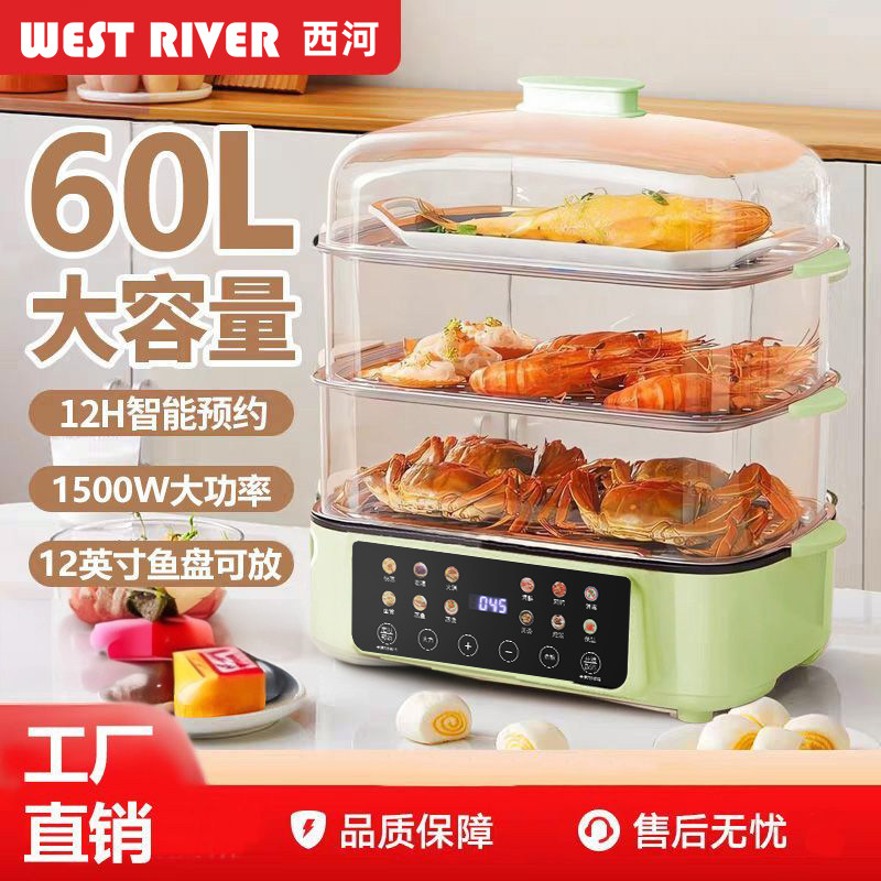 德国电蒸锅家用一锅多用多层大容量蒸汽锅不锈钢多功能全透明蒸箱