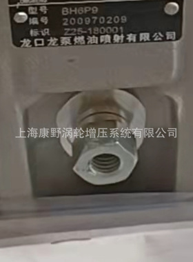 原装喷油泵15E3 BH6P9 Z25-180001和*2206 BHT6PZ140R2207E