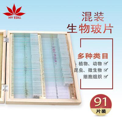 显微镜配件混装生物玻片91片装生物玻片套装着色明显结构清晰