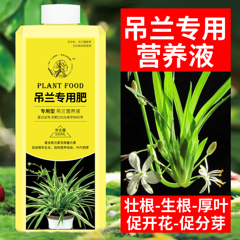 吊兰肥料绿植专用营养液通用富贵竹绿萝专用肥水培植物浓缩液体肥