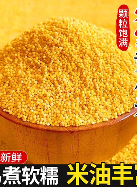 陕西黄小米正宗农家小米自产黄小米软糯香米月子米小米粥新黄小米