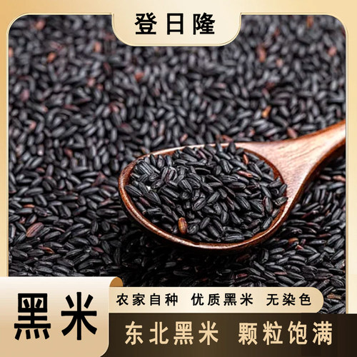 精选当季新鲜农家自产黑米东北软糯黑香米五谷杂粮黑香米早餐粥