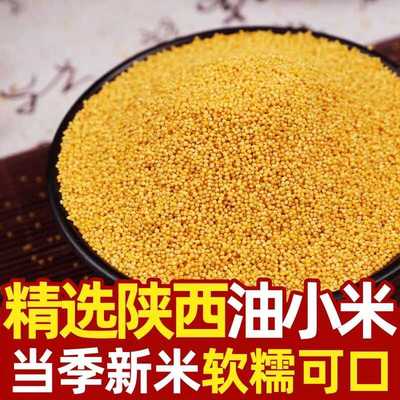 陕西正宗黄小米新米山西新黄小米农家黄小米软糯香米月子米小米粥
