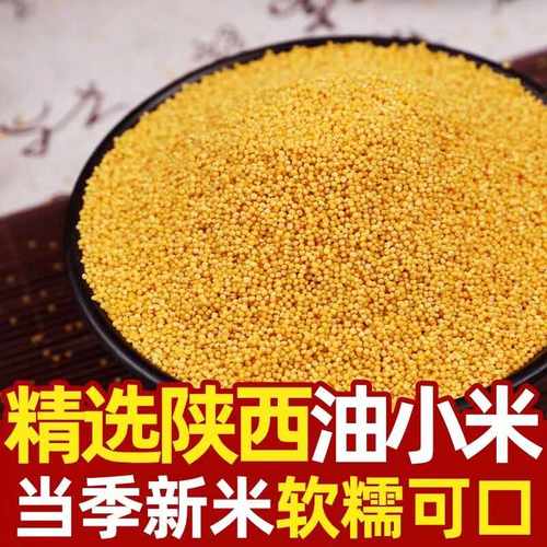 陕西正宗黄小米新米山西新黄小米农家黄小米软糯香米月子米小米粥