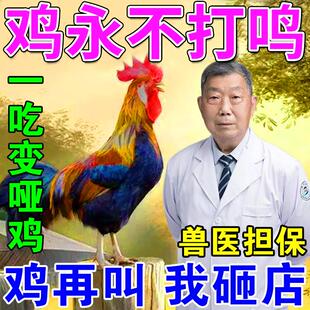 防公鸡不打鸣药不让鸡鸭鹅乱叫神器阉鸡多维鸡嘴套禁止乱叫添加剂