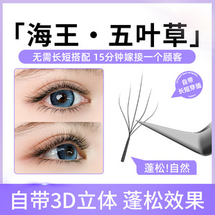 嫁接睫毛婴儿弯立体蓬松美睫店专用加密BC 日本品质海王五叶草新款