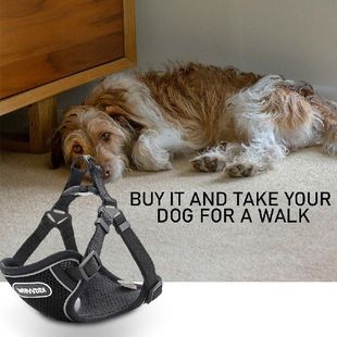 Pet Puppy Leash Harness Adjustable Strap Outdoor Walking