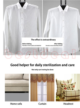 Garment Steamer with Removable Hanger electric iron clothes