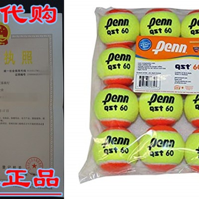 Penn QST 60 Tennis Balls - Youth Felt Orange Tennis Balls fo