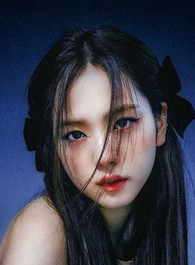 1/2Pcs Black White Ribbon Hair Bows Clips Vintage Bowknot Si