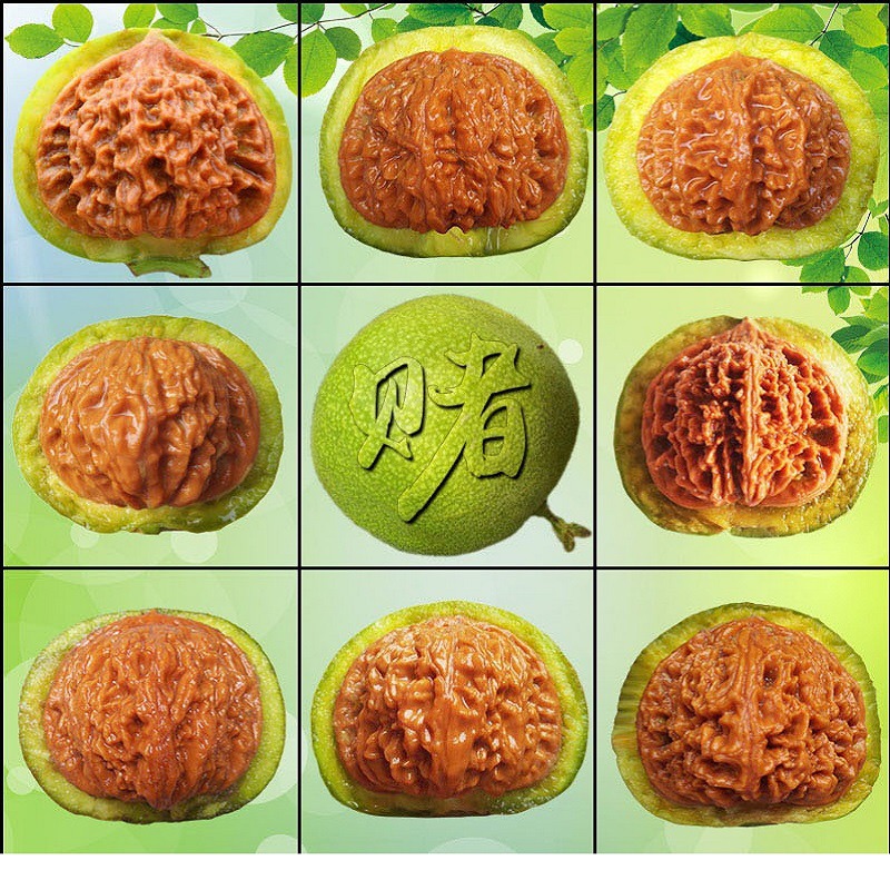 赌青皮文玩核桃原生天然把玩狮子头四座楼虎头官帽鸡心麻核桃盘玩