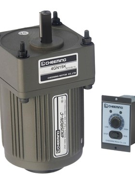 25W微型/小型减速电机220V交流齿轮箱调速定速马达4IK25GN/4GN10K