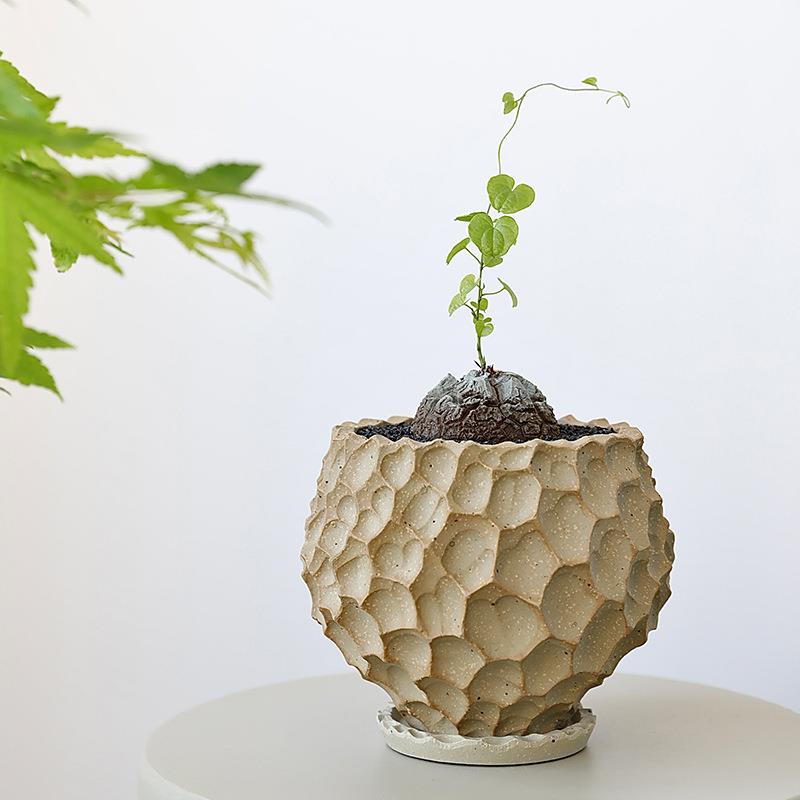 日式陶瓷花盆块根兰花盆景多肉蝴蝶兰盆栽陶盆带托盘粗陶透气花盆