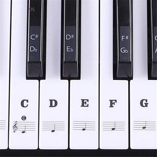 Keys 极速Sticker Transparent White Keyboard Piano Electronic