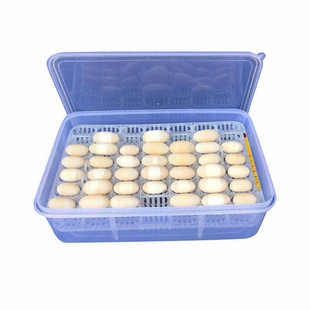 乌龟产蛋池网格乌龟孵化盒南石蛋无介质孵化盆孵化器水龟陆龟爬宠