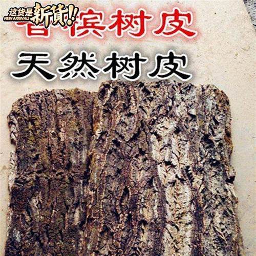 鱼缸8水族造景装饰香槟木树皮雨林缸树皮背景板乌龟晒台多用